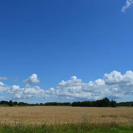 Femhoj